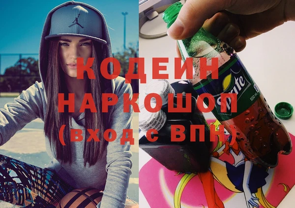 скорость Гусев