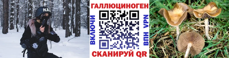 Галлюциногенные грибы Magic Shrooms  купить наркотики цена  Лыткарино 